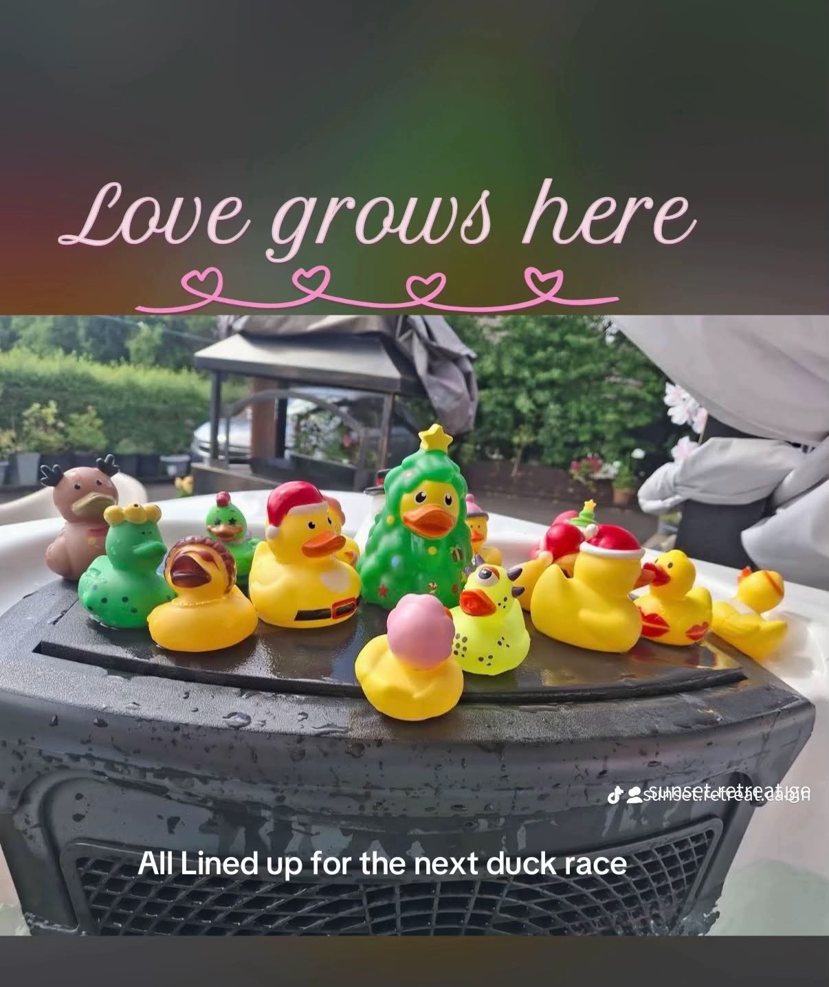 Rubber ducks lined up on the edge of the hot tub